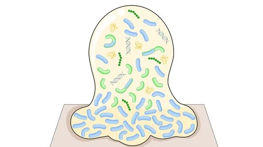 Störenfriede auf der Wunde – Nekrose, Biofilm und Fibrin